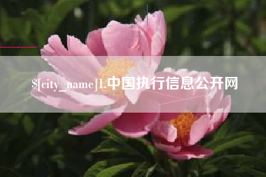 廊坊1.中国执行信息公开网