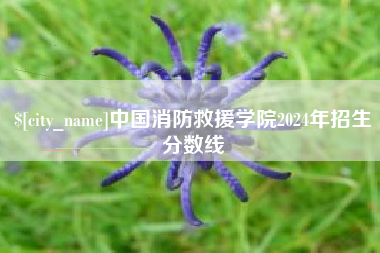廊坊中国消防救援学院2024年招生分数线