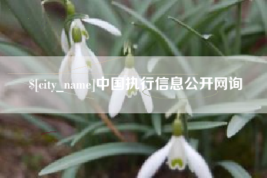 廊坊中国执行信息公开网询