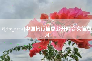 廊坊中国执行信息公开网会发信息吗