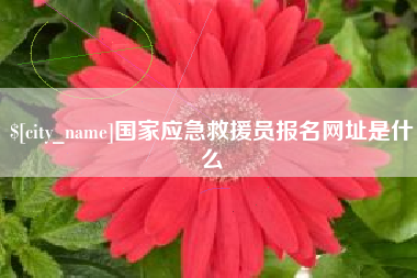 廊坊国家应急救援员报名网址是什么