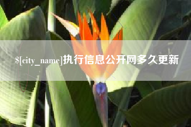 廊坊执行信息公开网多久更新
