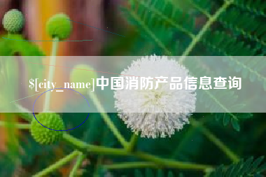 廊坊中国消防产品信息查询