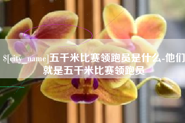 廊坊五千米比赛领跑员是什么-他们就是五千米比赛领跑员