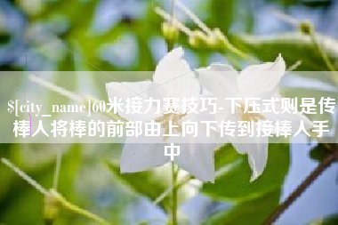 廊坊60米接力赛技巧-下压式则是传棒人将棒的前部由上向下传到接棒人手中