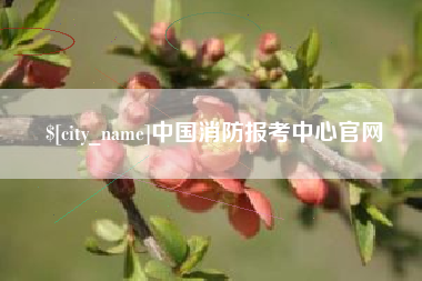 廊坊中国消防报考中心官网
