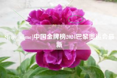 廊坊中国金牌榜2024巴黎奥运会最新