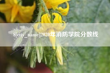 廊坊2020年消防学院分数线