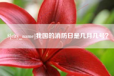廊坊我国的消防日是几月几号？