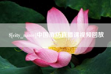 廊坊中国消防直播课视频回放