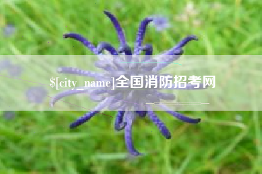 廊坊全国消防招考网