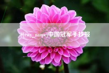 廊坊中国冠军手抄报