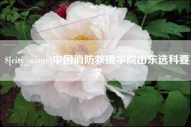 廊坊中国消防救援学院山东选科要求