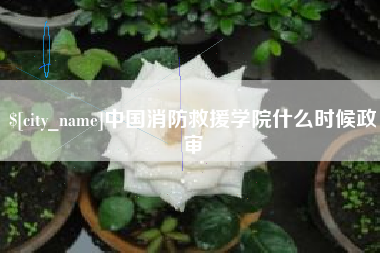 廊坊中国消防救援学院什么时候政审