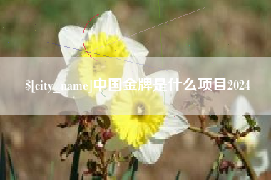 廊坊中国金牌是什么项目2024