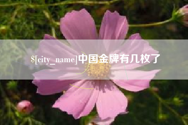廊坊中国金牌有几枚了