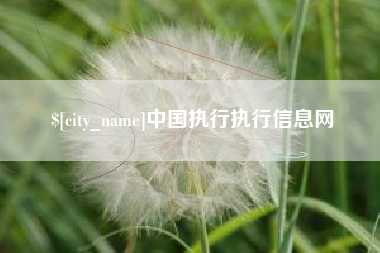 廊坊中国执行执行信息网