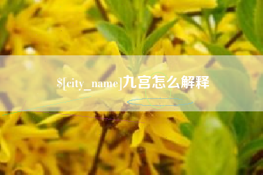 廊坊九宫怎么解释