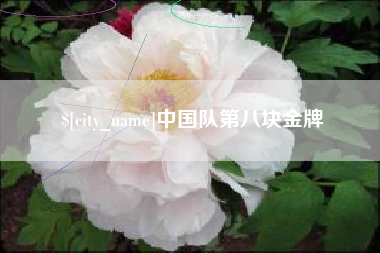 廊坊中国队第八块金牌