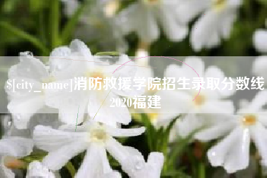 廊坊消防救援学院招生录取分数线2020福建