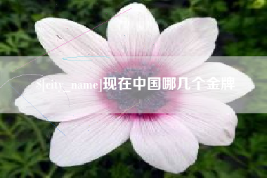 廊坊现在中国哪几个金牌