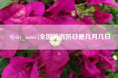 廊坊全国的消防日是几月几日