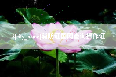 廊坊消防证国网查询操作证
