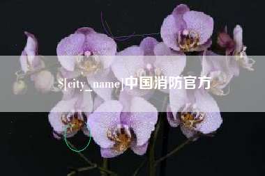 廊坊中国消防官方