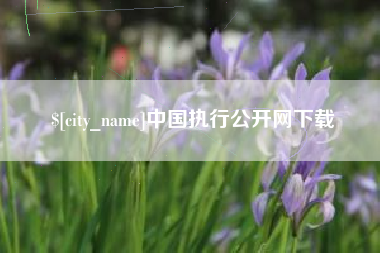 廊坊中国执行公开网下载