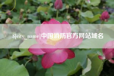 廊坊中国消防官方网站域名