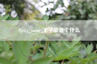 廊坊王子豪是个什么