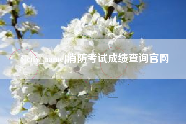 廊坊消防考试成绩查询官网