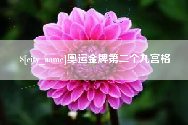 廊坊奥运金牌第二个九宫格