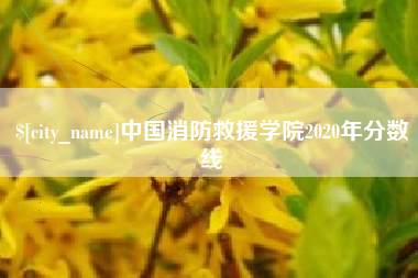 廊坊中国消防救援学院2020年分数线