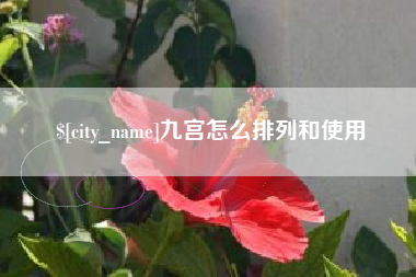 廊坊九宫怎么排列和使用