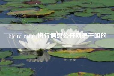 廊坊执行信息公开网是干嘛的