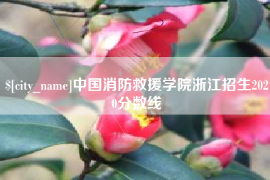 廊坊中国消防救援学院浙江招生2020分数线