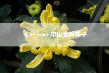 廊坊中国金牌样子