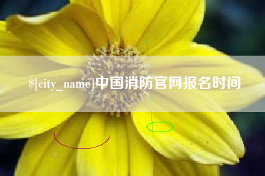 廊坊中国消防官网报名时间