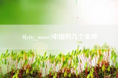 廊坊中国的几个金牌