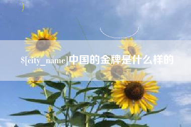 廊坊中国的金牌是什么样的