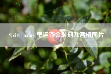 廊坊奥运夺金时刻九宫格图片