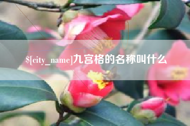 廊坊九宫格的名称叫什么