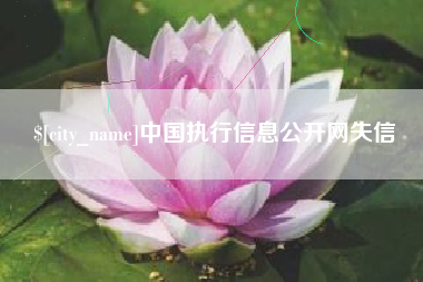 廊坊中国执行信息公开网失信