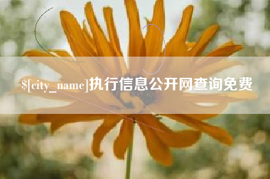 廊坊执行信息公开网查询免费