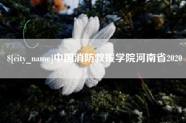 廊坊中国消防救援学院河南省2020